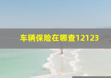 车辆保险在哪查12123