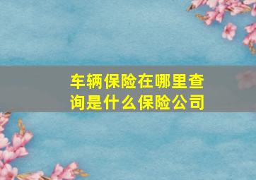 车辆保险在哪里查询是什么保险公司