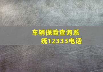 车辆保险查询系统12333电话