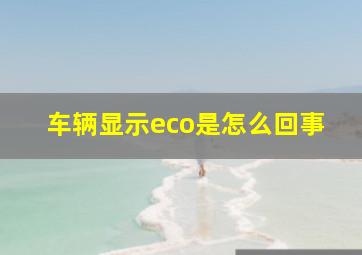 车辆显示eco是怎么回事