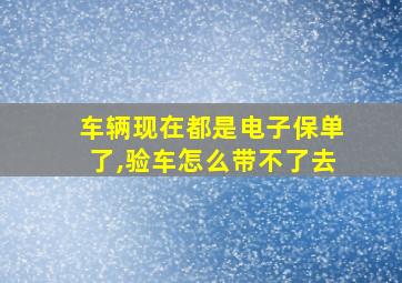 车辆现在都是电子保单了,验车怎么带不了去