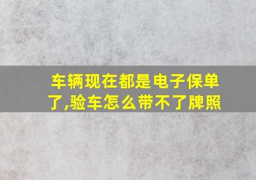 车辆现在都是电子保单了,验车怎么带不了牌照