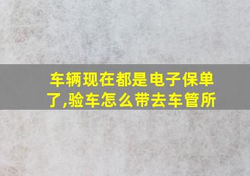 车辆现在都是电子保单了,验车怎么带去车管所