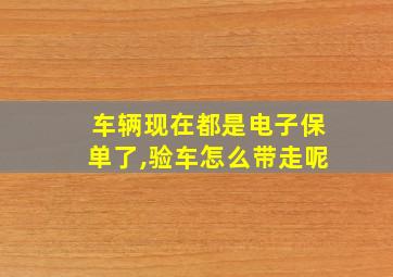 车辆现在都是电子保单了,验车怎么带走呢