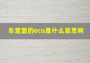 车里面的eco是什么意思啊