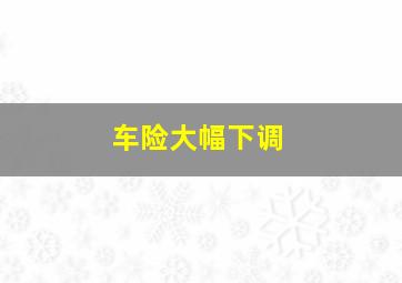 车险大幅下调