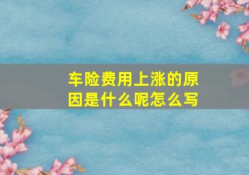 车险费用上涨的原因是什么呢怎么写