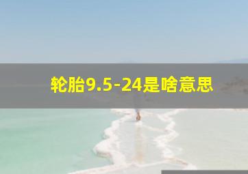 轮胎9.5-24是啥意思