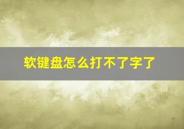 软键盘怎么打不了字了