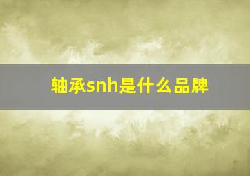 轴承snh是什么品牌