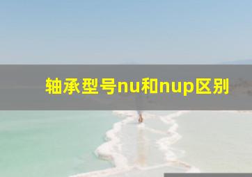 轴承型号nu和nup区别