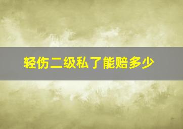 轻伤二级私了能赔多少