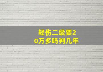 轻伤二级要20万多吗判几年