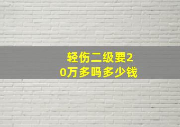 轻伤二级要20万多吗多少钱