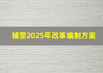 辅警2025年改革编制方案