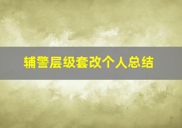 辅警层级套改个人总结