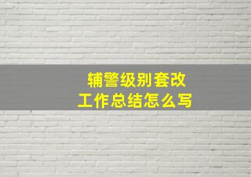 辅警级别套改工作总结怎么写