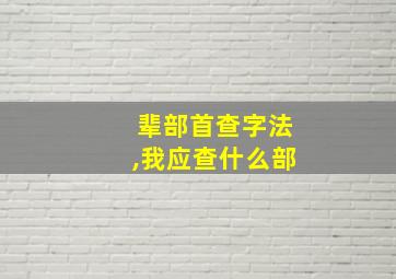 辈部首查字法,我应查什么部