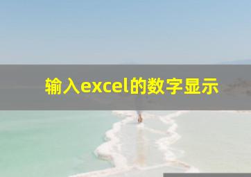 输入excel的数字显示