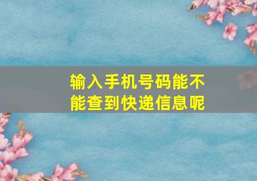 输入手机号码能不能查到快递信息呢