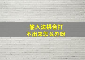 输入法拼音打不出来怎么办呀