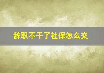 辞职不干了社保怎么交