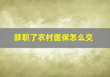 辞职了农村医保怎么交