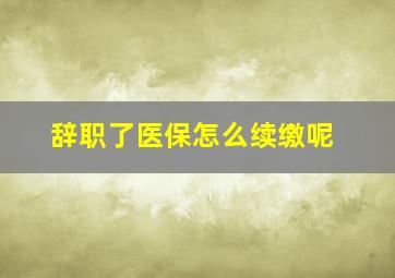 辞职了医保怎么续缴呢