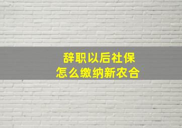 辞职以后社保怎么缴纳新农合