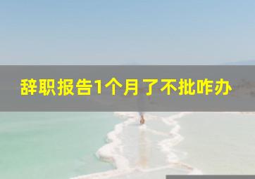 辞职报告1个月了不批咋办