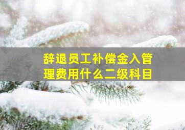 辞退员工补偿金入管理费用什么二级科目