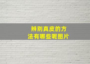 辨别真皮的方法有哪些呢图片