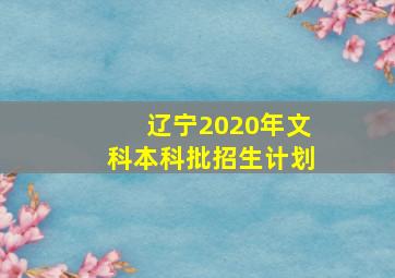 辽宁2020年文科本科批招生计划