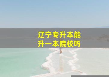 辽宁专升本能升一本院校吗