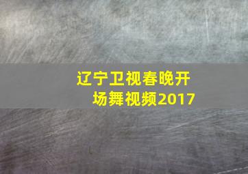 辽宁卫视春晚开场舞视频2017