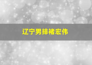 辽宁男排褚宏伟