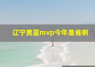 辽宁男篮mvp今年是谁啊