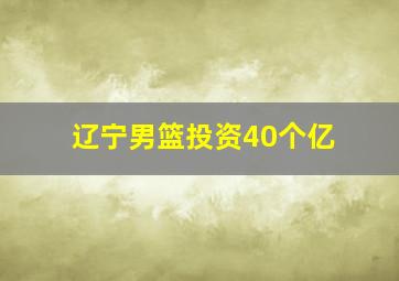 辽宁男篮投资40个亿