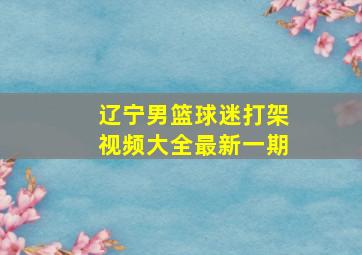 辽宁男篮球迷打架视频大全最新一期