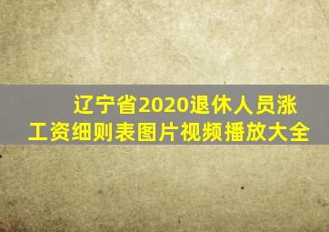 辽宁省2020退休人员涨工资细则表图片视频播放大全