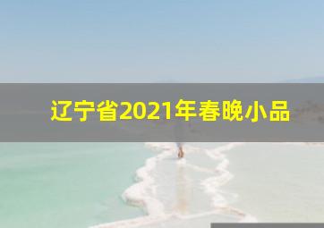 辽宁省2021年春晚小品