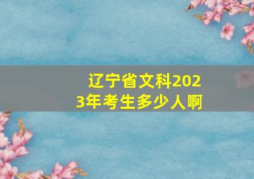 辽宁省文科2023年考生多少人啊