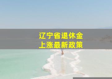 辽宁省退休金上涨最新政策