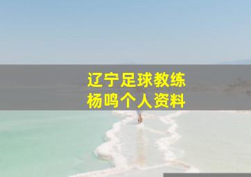 辽宁足球教练杨鸣个人资料