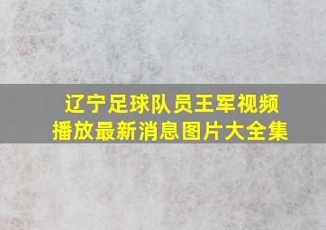 辽宁足球队员王军视频播放最新消息图片大全集