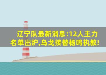 辽宁队最新消息:12人主力名单出炉,乌戈接替杨鸣执教!