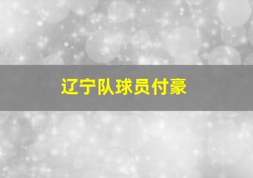 辽宁队球员付豪