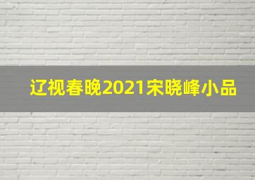 辽视春晚2021宋晓峰小品