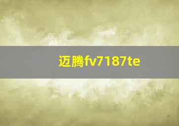 迈腾fv7187te