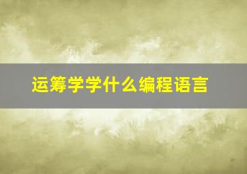 运筹学学什么编程语言